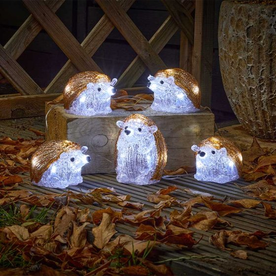 InLit Ice Hedgehogs - Set of 5