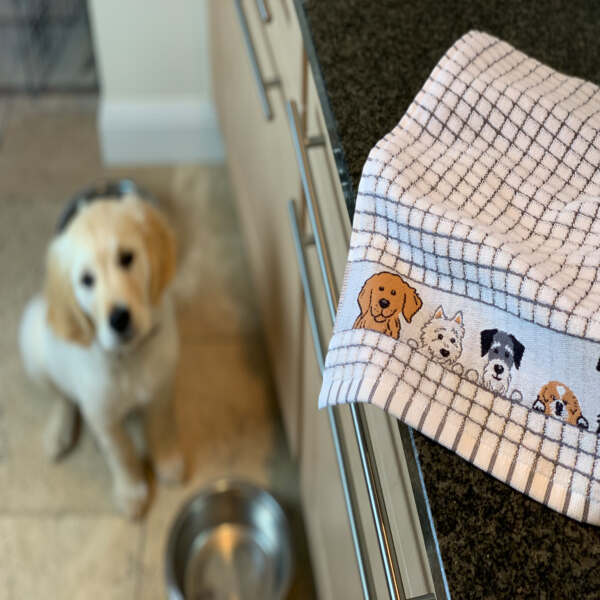 Poli-Dri Jacquard Dogs Tea Towel