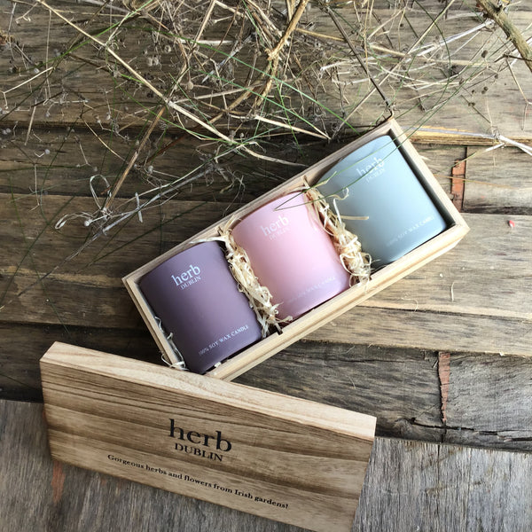 Herb Trio Pastel Candle Pack