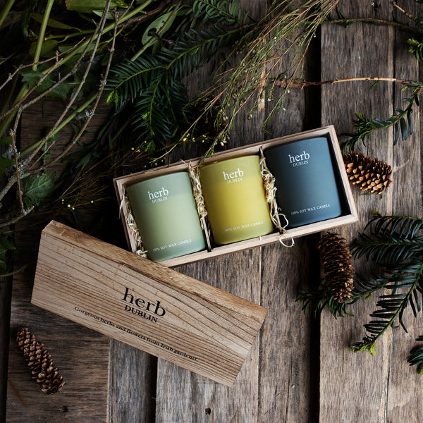 Herb Set Of 3 Candles