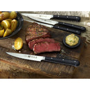 4 Piece Steak Knife Set