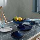 Imperial Blue Large Organic Dish