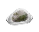 Avocado Keeper