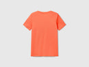Cotton V Neck T-Shirt - Rust