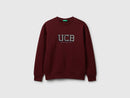 Boys Logo Print Sweatshirt - Maroon
