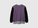 Boys Logo Print Sweatshirt - Purple