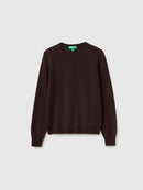 Crew Neck Sweater in Pure Merino Wool - Brown