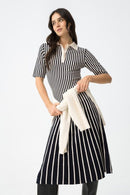 Ryka Stripe Dress - Lyons Blue