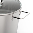 Vivo 24cm Stockpot with Lid