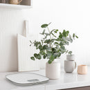 10kg Capacity Electronic Contour Kitchen Scale