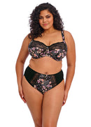 Morgan High Leg Brief - Summer Garden