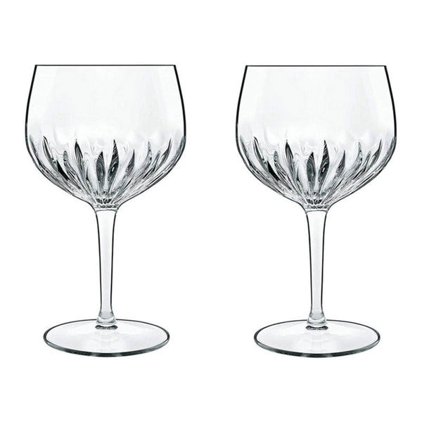 Set of 2 Mixology Spanish Gin Glasses