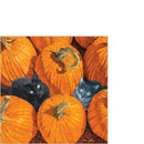 Pack of 20 Cocktail Napkins - Pumpkin Patch Cats