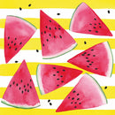 Pack of 20 Cocktail Napkins - Melon & Stripe