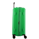 Hendaye 65cm Spinner Case - Green
