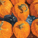 Pack of 20 Napkins - Pumpkin Patch Cats