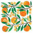 Pack of 20 Napkins - Traceys Orangina
