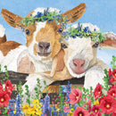 Pack of 20 Cocktail Napkins - Gary & Gracie