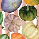 Pack of 20 Napkins -Pumpkin & Stripes