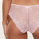 Daily Brief - Rose Shadow Jacquard