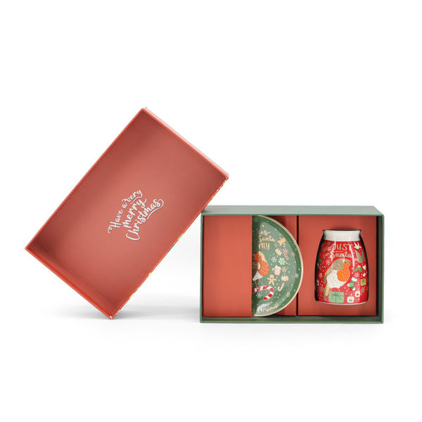 Christmas Robin Santa Set