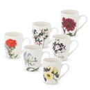 Botanical Studio Set of 6 Mugs in Hatbox