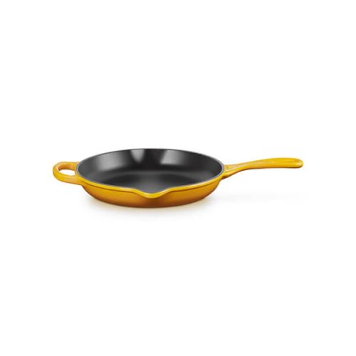 23cm Cast Iron Fry Pan with Metal Handle - Nectar