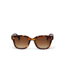 Giovanni Big Frame Sunglasses - Classic Havana