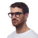 Zeno Round Reading Glasses 2.50 - Classic Havana