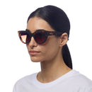 Claudia Big Cat Sunglasses - Classic Havana