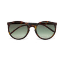 Berlino Sunglasses - Classic Havana