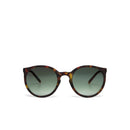 Berlino Sunglasses - Classic Havana