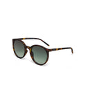 Berlino Sunglasses - Classic Havana