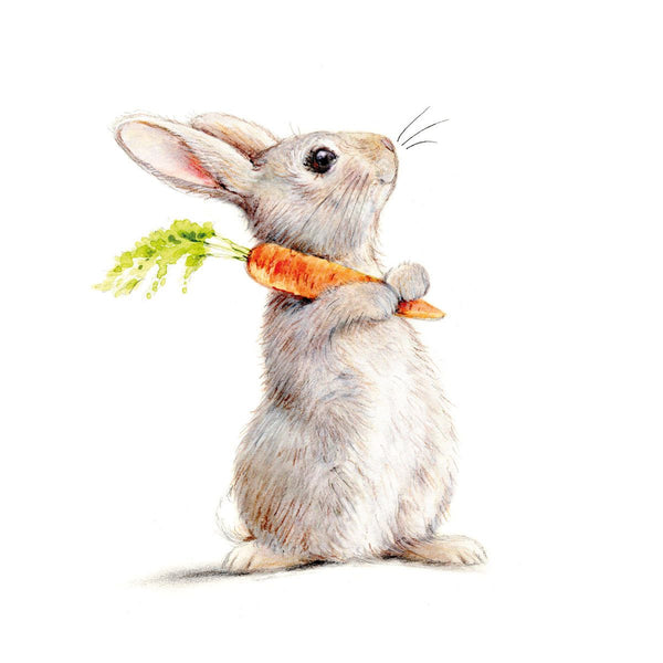 Pack of 20 Napkins - Rabbit & Carrot