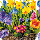 Pack of 20 Napkins - Spring Basket