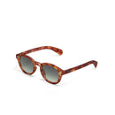 Milano Sunglasses - Sahara Havana