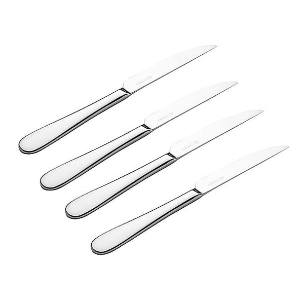 Select 4 Piece Steak Knife Set
