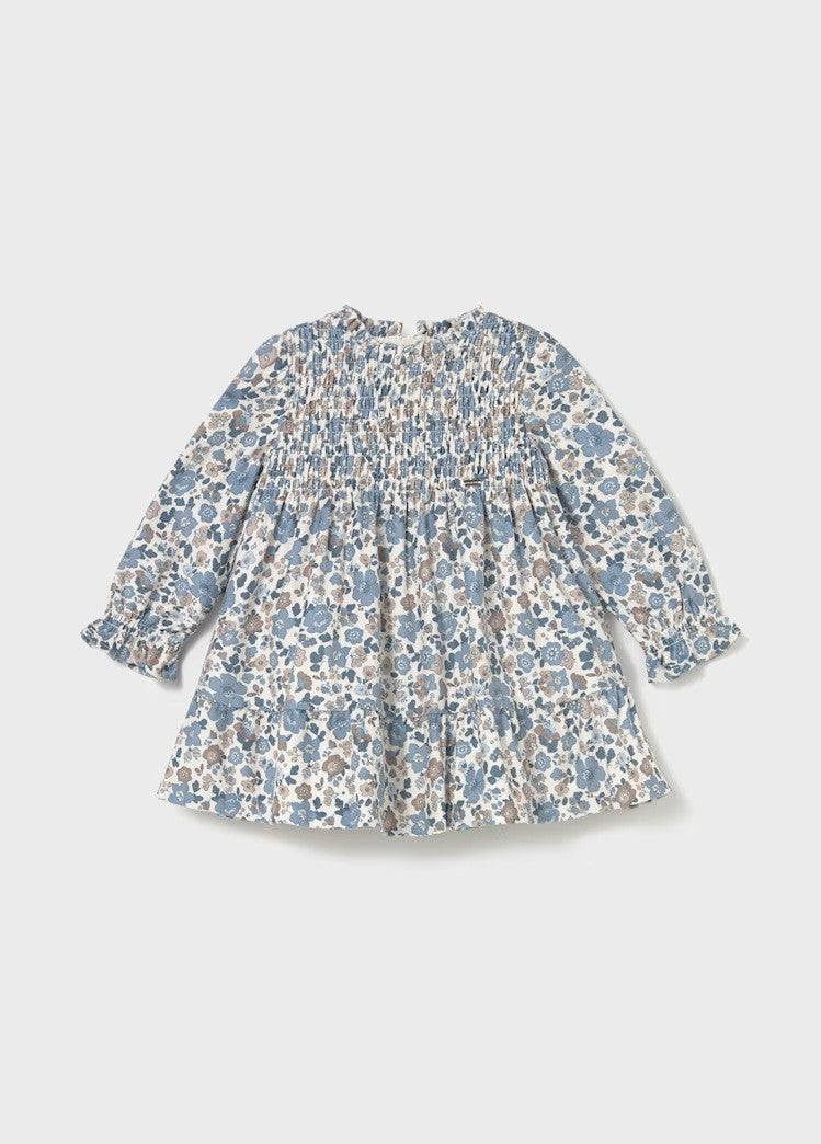 Print Velvet Dress - Blue