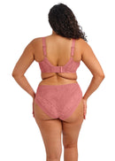 Nerina High Leg Brief - Dusty Rose