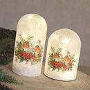 LED Robin Dome Deco 17.5cm