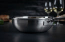 Culinary FivePly Uncoated Chef's Pan - 20CM