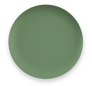 Mediterranean Garden 27cm Melamine Dinner Plate - Green