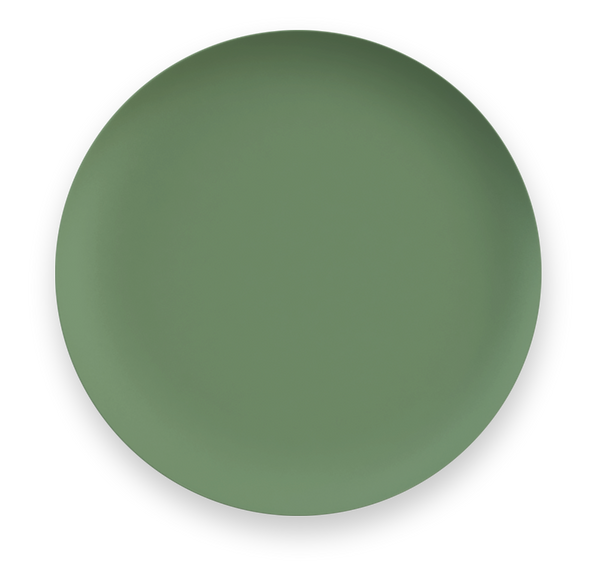 Mediterranean Garden 27cm Melamine Dinner Plate - Green