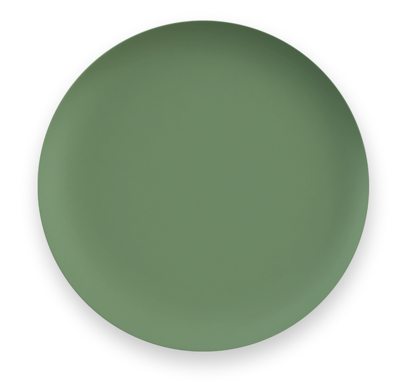 Mediterranean Garden 27cm Melamine Dinner Plate - Green