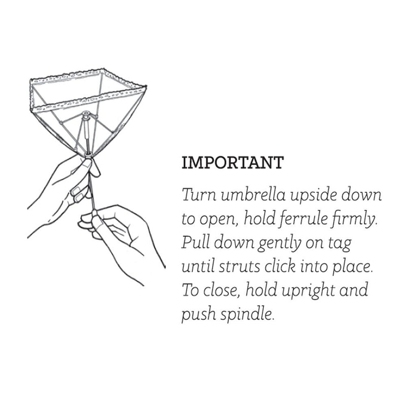 Daisy Food Cover Small 30x30cm