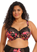 Morgan Underwire Bra - Hot House