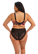 Morgan Underwire Bra - Hot House
