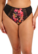 Morgan High Leg Brief - Hot House