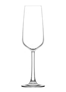 Coast Set of 6 Champagne Glasses
