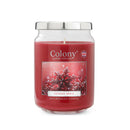 Large Jar - Festive Spice